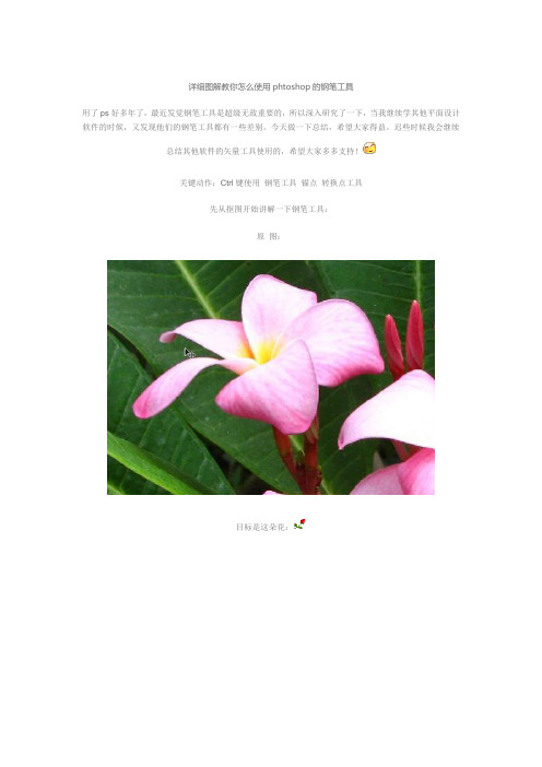 详细图解教你怎么使用phtoshop的钢笔工具
