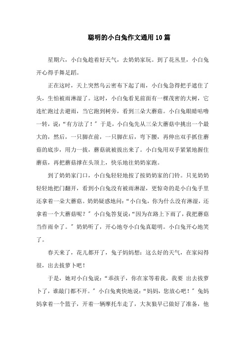 中小学聪明的小白兔作文通用10篇
