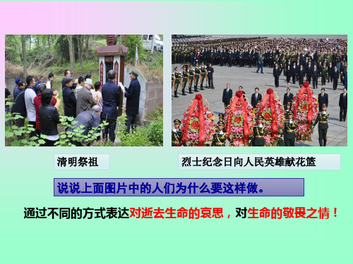 新部编版_敬畏生命名师课件PPT