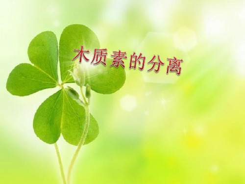 木质素PPT