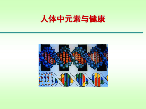 人体中元素与健康PPT课件