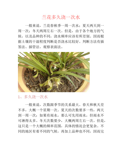 兰花多久浇一次水