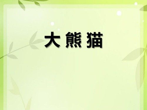 《大熊猫》PPT【优质课件】