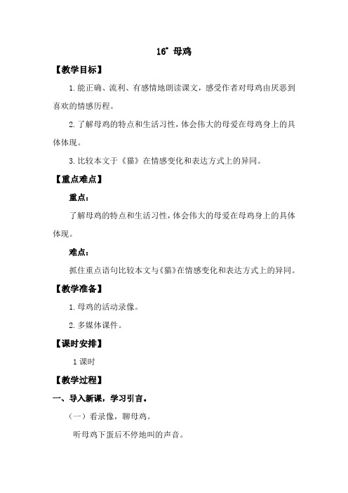 16母鸡(3)