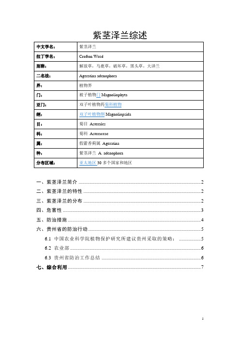 紫茎泽兰综述