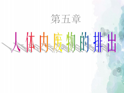 人教版-生物-七年级下册4.5人体内废物的排出教学课件