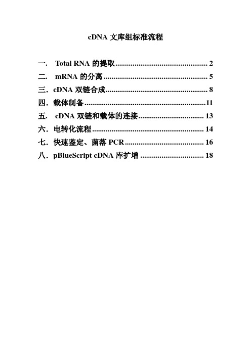 cDNA建库流程