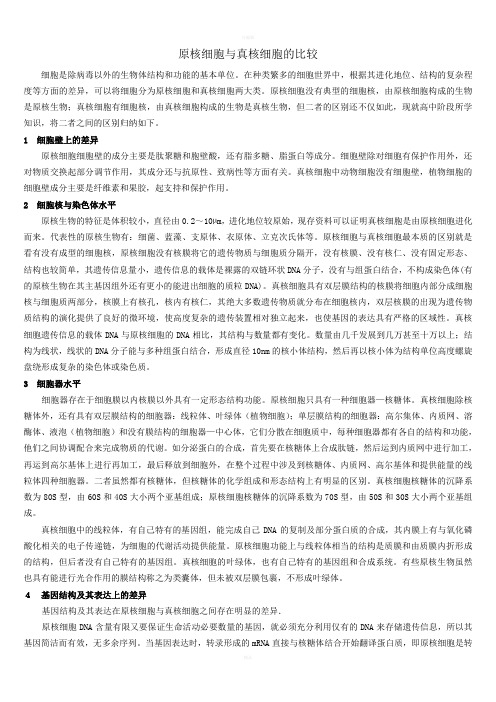 原核细胞与真核细胞的比较
