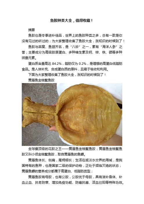 鱼胶种类大全，值得收藏！