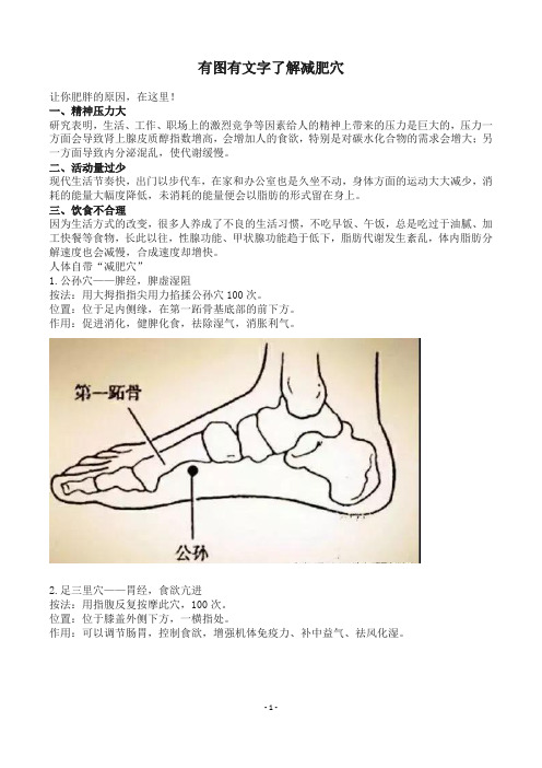 有图有文字了解减肥穴