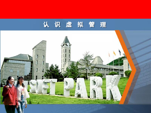 认识虚拟组织