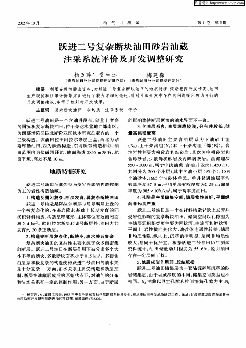 跃进二号复杂断块油田砂岩油藏注采系统评价及开发调整研究