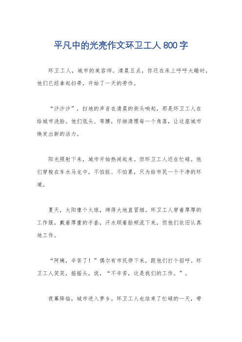 平凡中的光亮作文环卫工人800字