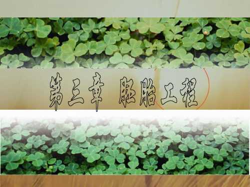 高中生物选修三课件 第三章 胚胎工程1