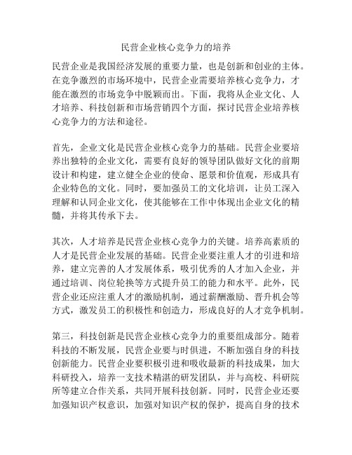 民营企业核心竞争力的培养