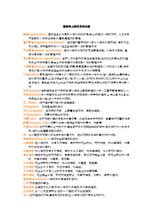 植物学名词解释