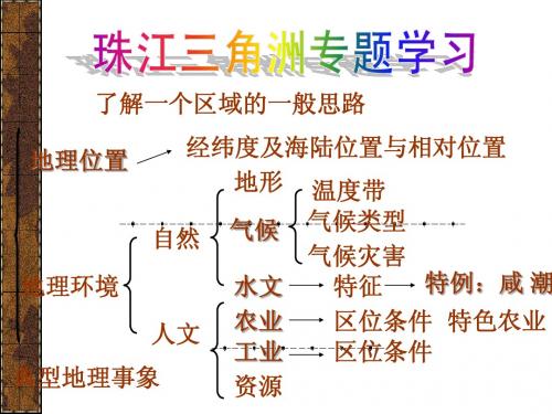 高考地理_珠江三角洲专题学习课件