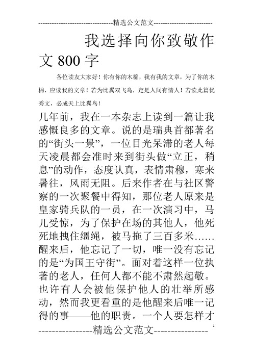 我选择向你致敬作文800字