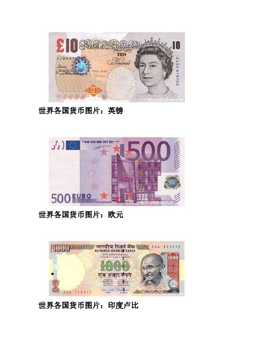 世界各国的货币名称及图片22140