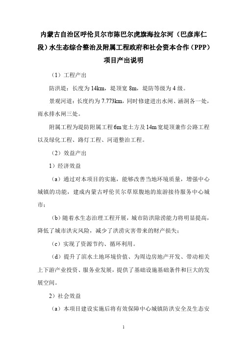 项目产出说明