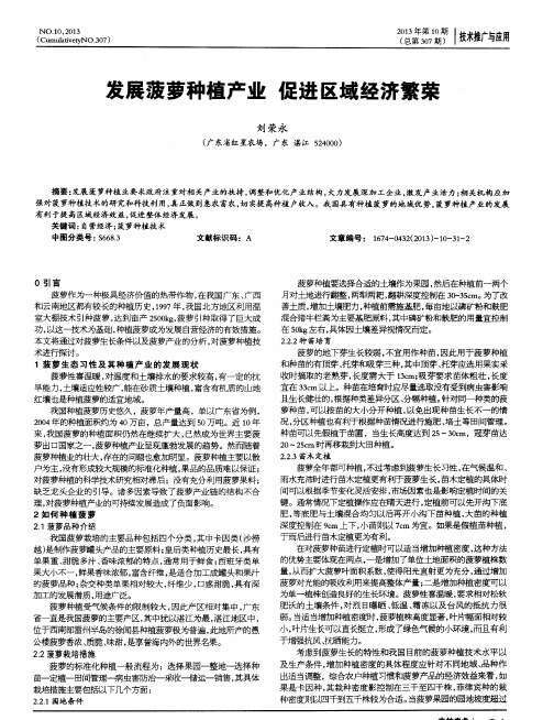 发展菠萝种植产业 促进区域经济繁荣