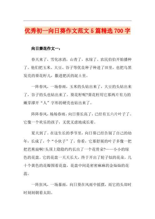 优秀初一向日葵作文范文5篇精选700字
