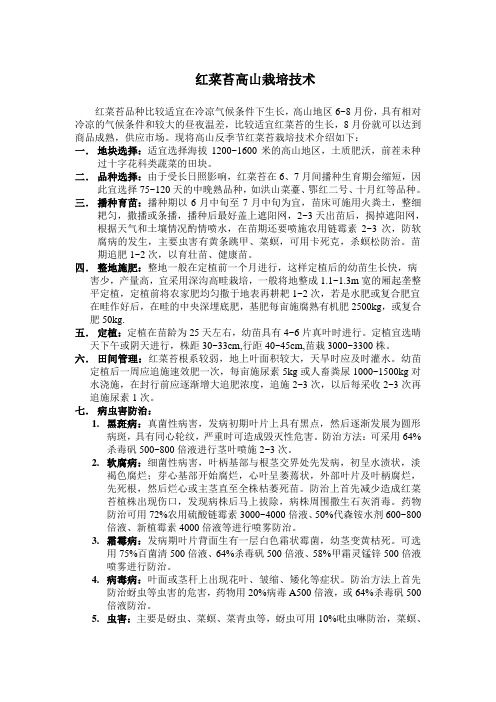 红菜苔高山栽培技术