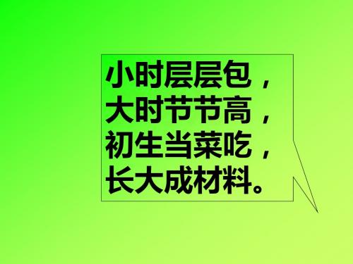 小学语文二年级下册芛芽儿第一课时