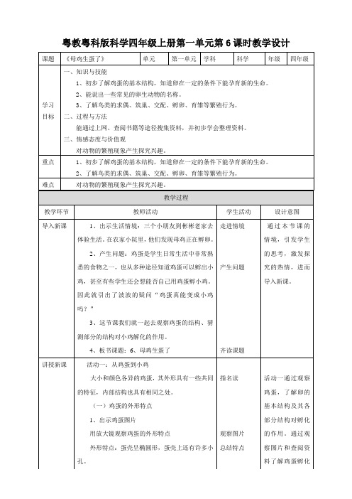 粤教粤科版小学科学新四年级上册科学第一单元第6课《母鸡生蛋了》教案