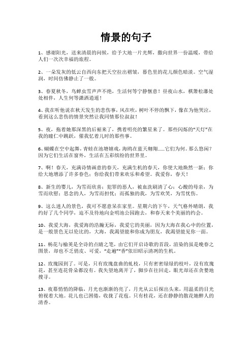 情景的句子