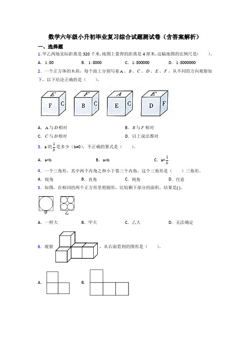 数学六年级小升初毕业复习综合试题测试卷(含答案解析)