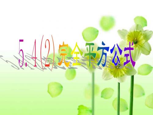 完全平方公式2
