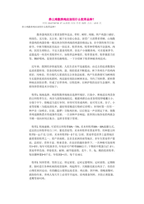 养土鸡散养鸡应该用什么牧草品种