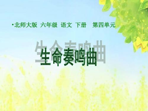 (北师大版)小学六年级语文下册PPT精品课件：4_生命奏鸣曲_1PPT、优质教学课件