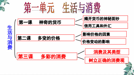 2021年高考政治一轮复习教学课件：经济生活第三课多彩的消费