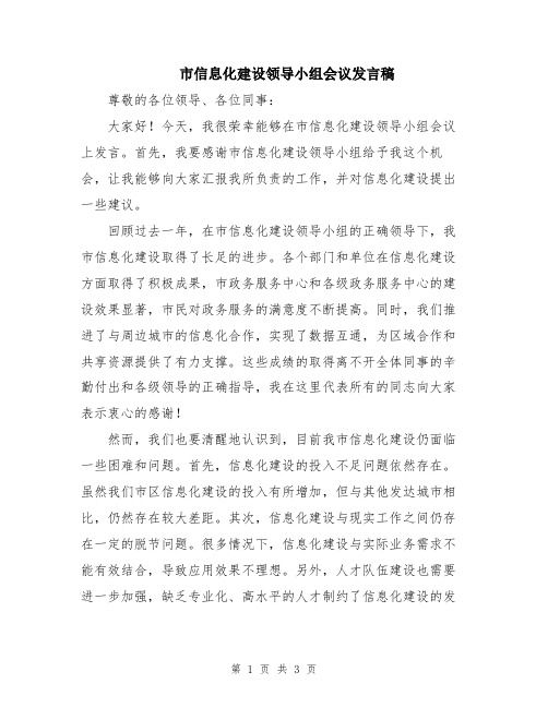 市信息化建设领导小组会议发言稿