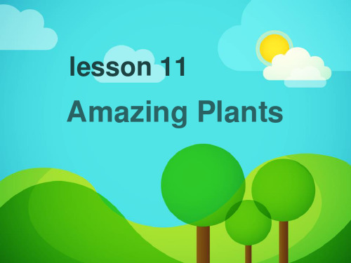 《Amazing Plants》Plant a Plant PPT课件英语课件
