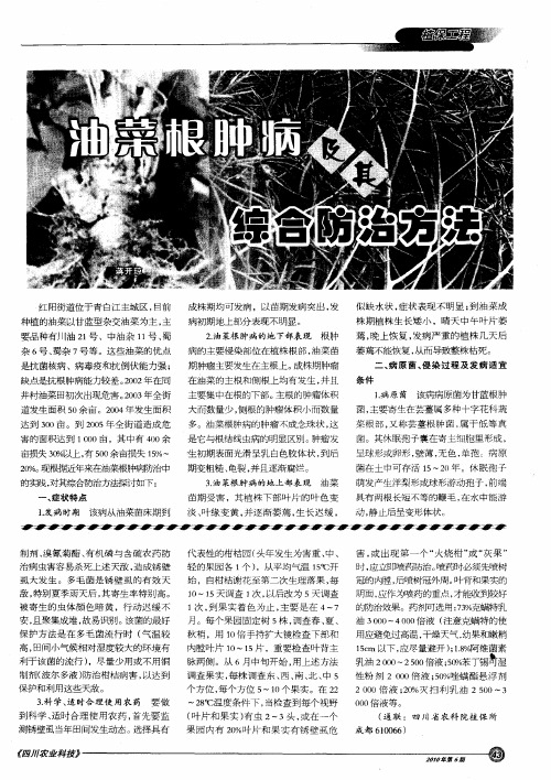 油菜根肿病及其综合防治方法