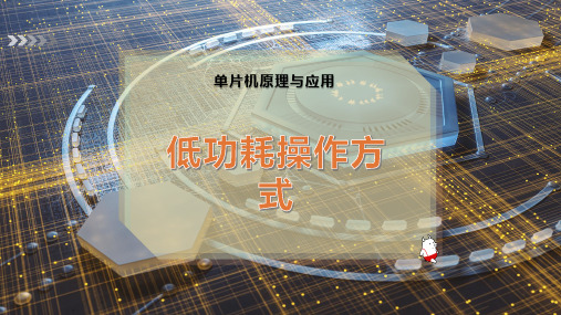 低功耗操作方式