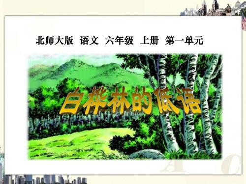 《白桦林的低语》课件