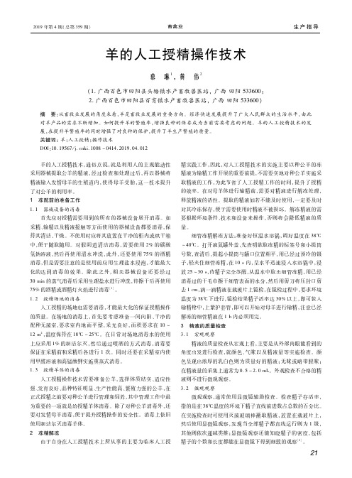 羊的人工授精操作技术
