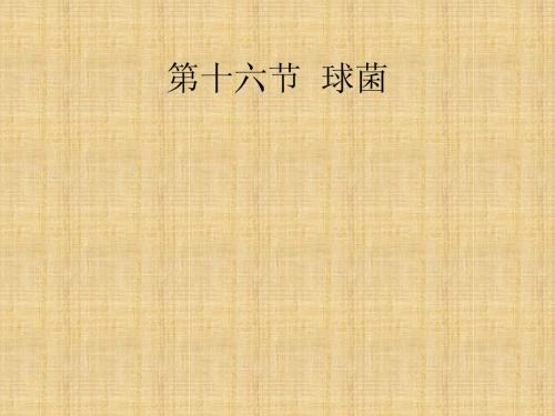 微生物检验第十六章球菌