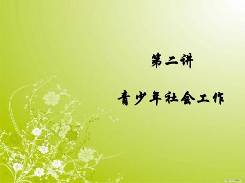 青少年社会工作(精)