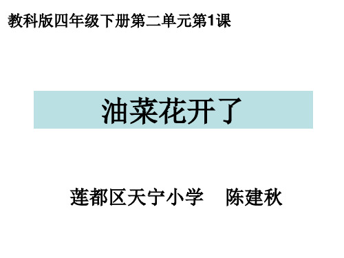 四下二1油菜花开了陈建秋PPT课件