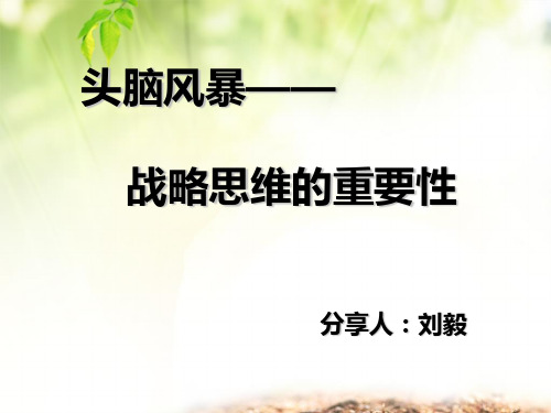 战略思维的重要性ppt课件