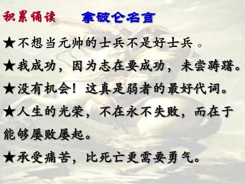 滑铁卢之战PPT5 语文版 (共18张PPT)
