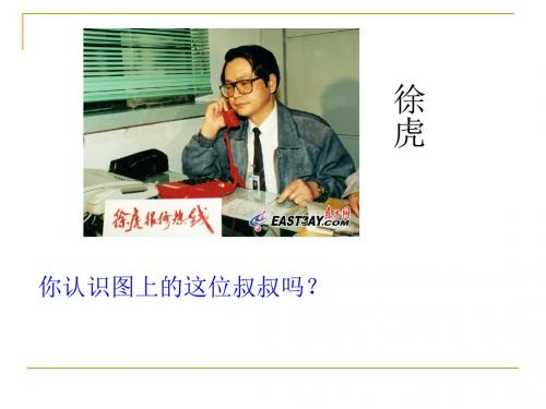 《闪光的金子》PPT课件