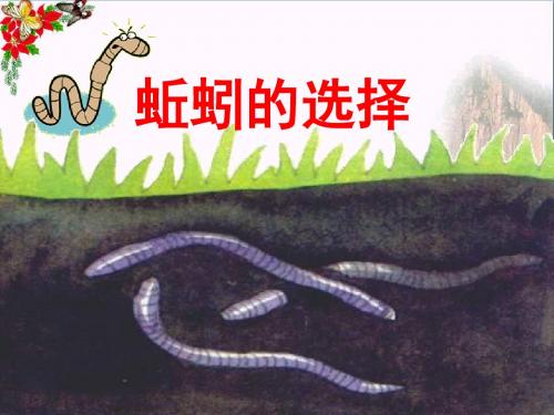 《蚯蚓的选择》生物与环境 精品PPT课件(共23张)