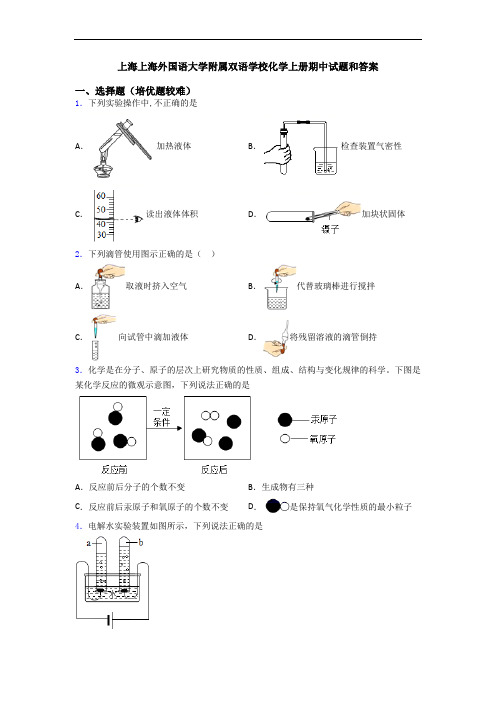 上海上海外国语大学附属双语学校初三化学上册期中试题和答案