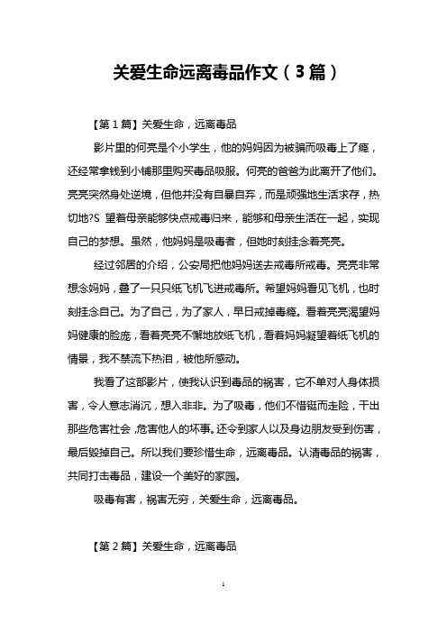 关爱生命远离毒品作文(3篇)